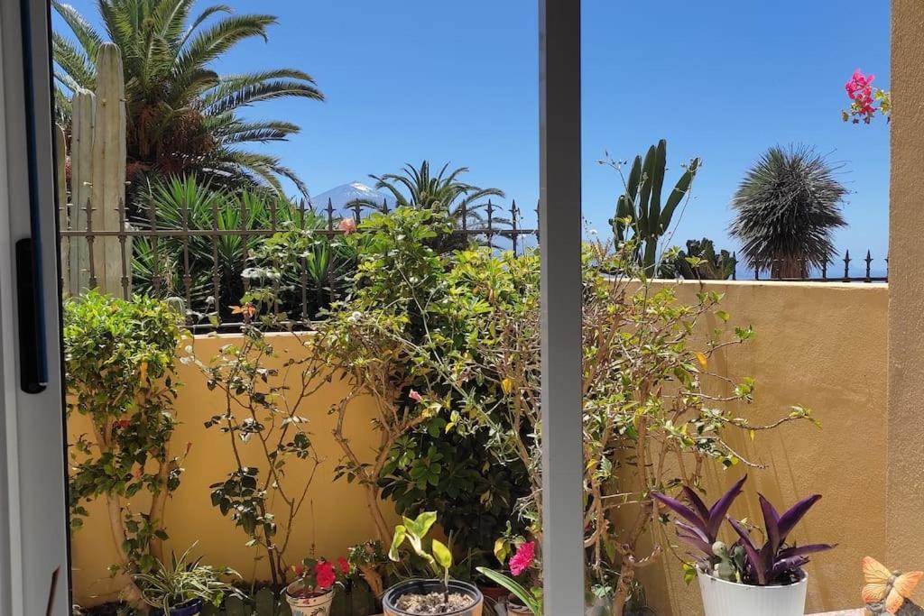 Casa El Sentir Sauzal